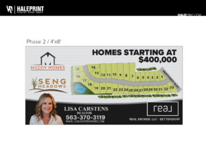 Seng Meadows Phase II